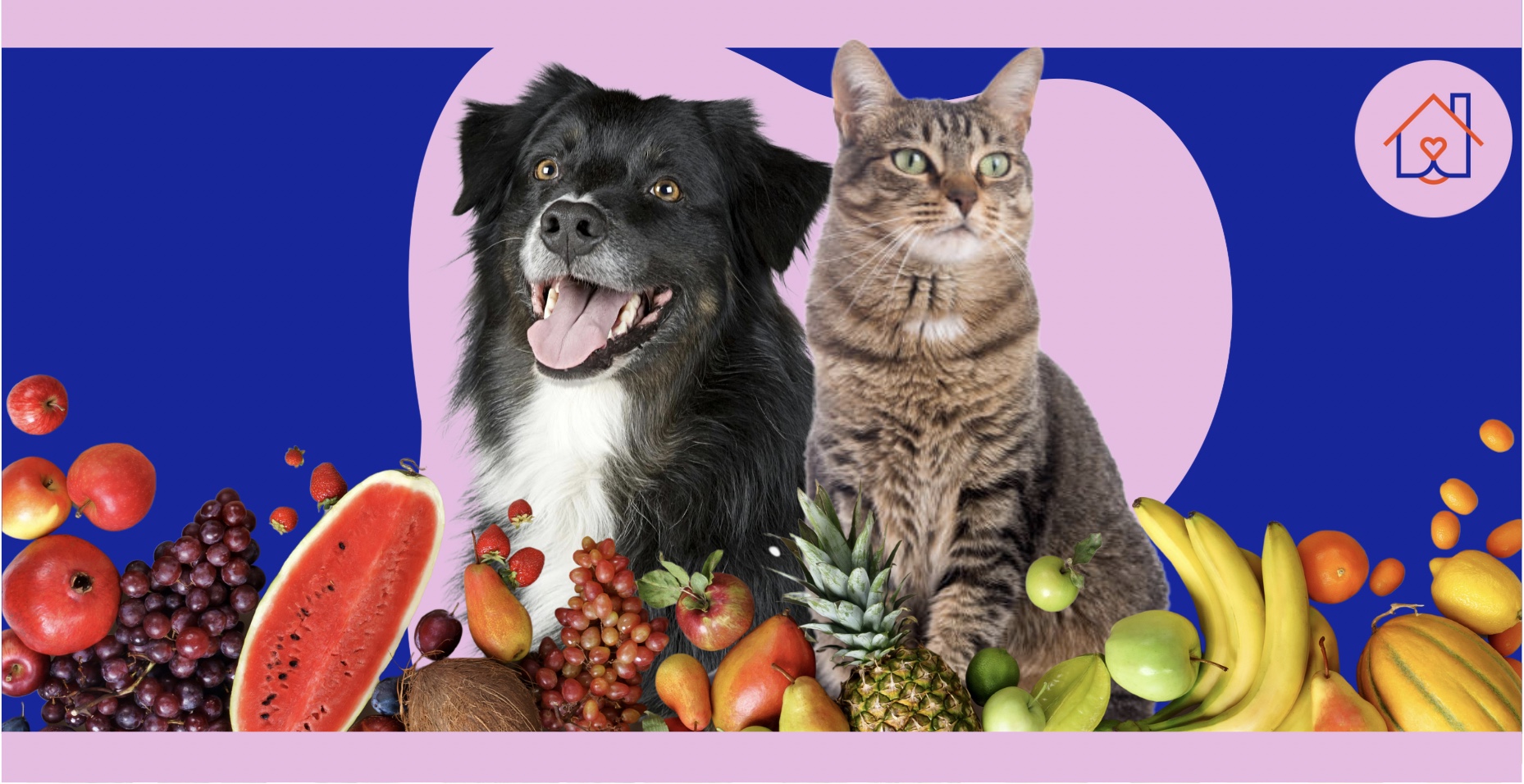 What Fruits and Veggies can my pets eat?